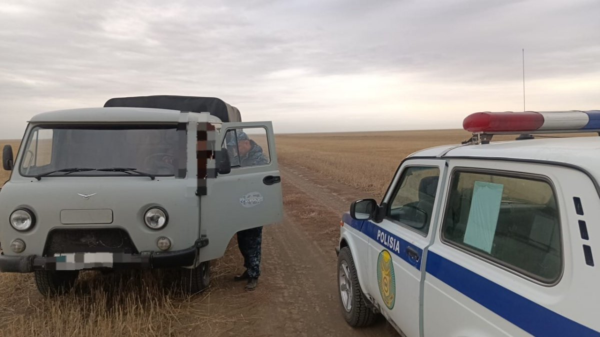 Мужчина погиб во время лесозаготовки в Акмолинской области