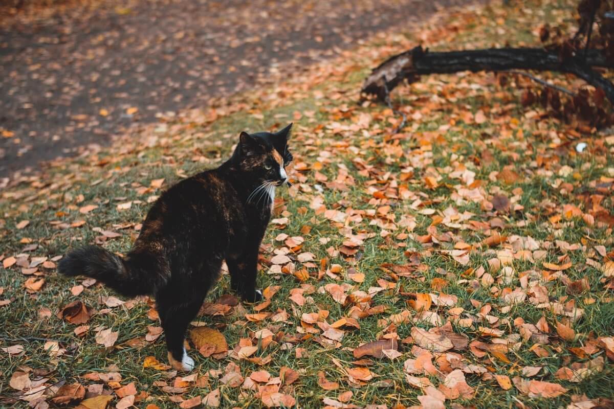 От гололеда до пожаров: Казахстан ждут резкие погодные контрасты