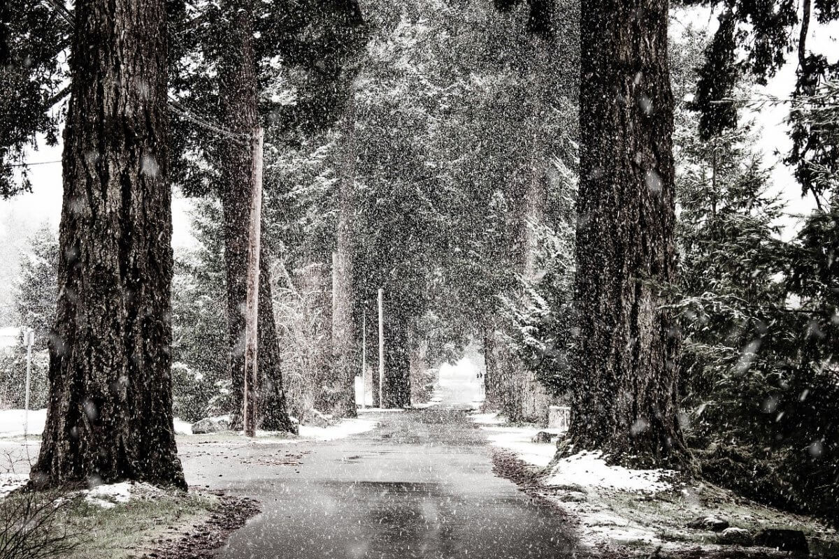 К снежной и ветреной зиме готовятся в одном из регионов Казахстана