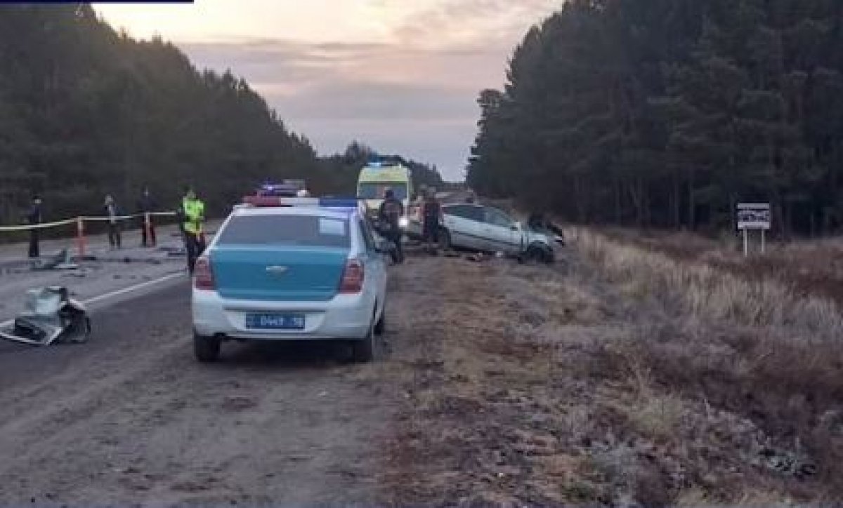 Чемпион Азии по боксу погиб в аварии на трассе Омск – Майкапчагай