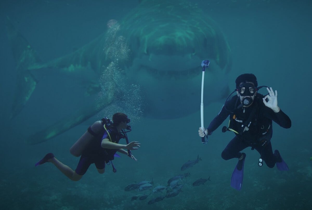 Акула напала на туристку во время снорклинга на Мальдивах