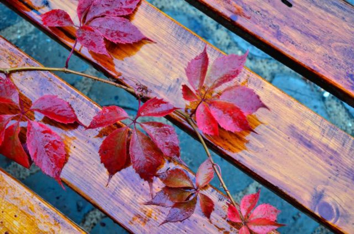 Погода в Шымкенте: до +15°C днем и дождь в начале недели