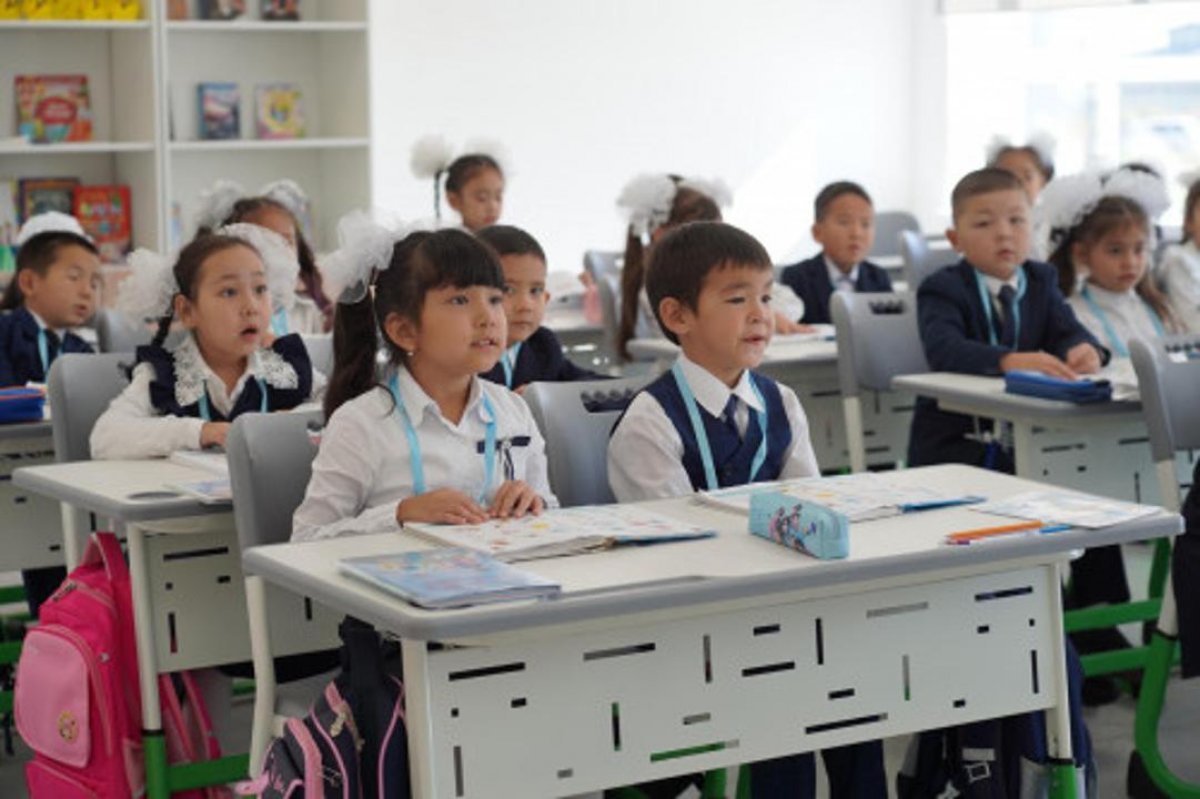 Опыт Казахстана по развитию сельских школ вошел в международный рейтинг