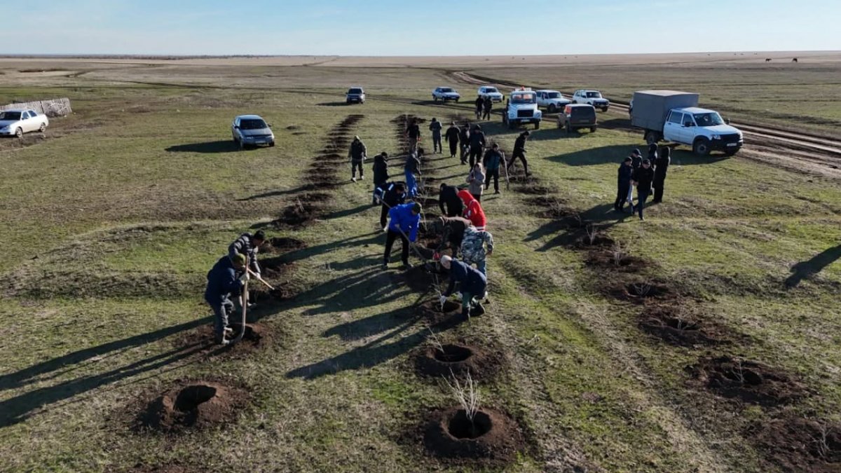 Жители Казахстана посадили деревья и убрали мусор в рамках "Таза бейсенбі"