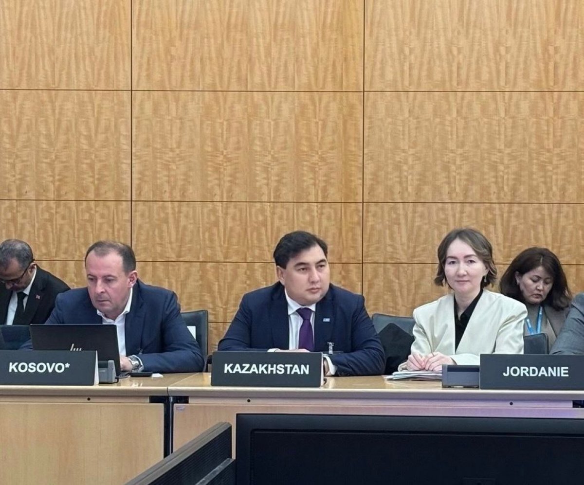 AI-навыки для госслужащих и "Адал азамат": Казахстан выступил во Франции на ОЭСР