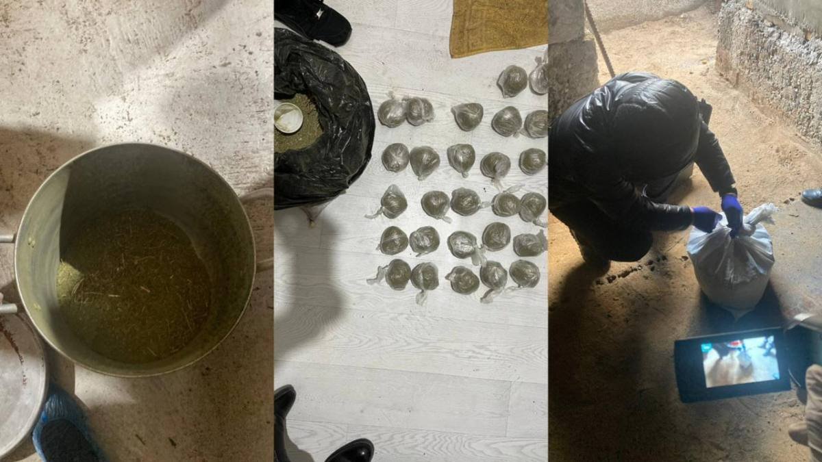 Почти 6 кг наркотиков изъяли у жителя Рудного (ВИДЕО)