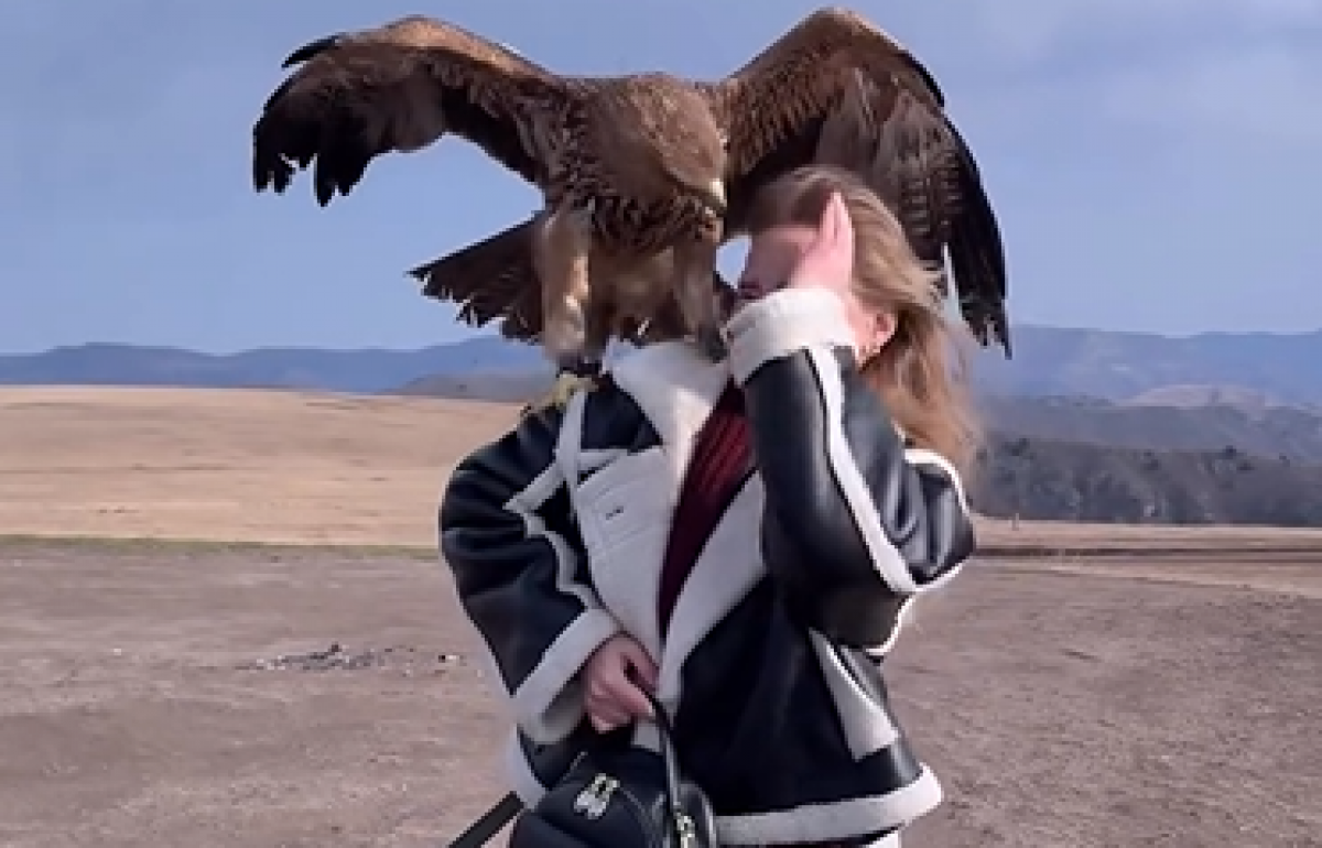 Орел едва не лишил глаза модель на фотосессии