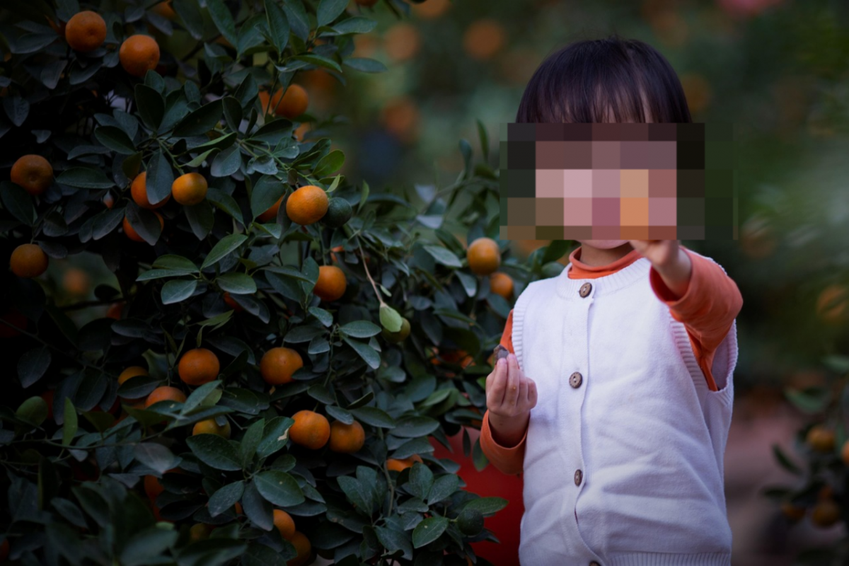 Деньги на "лечение" умершего ребенка собирали в Алматинской области