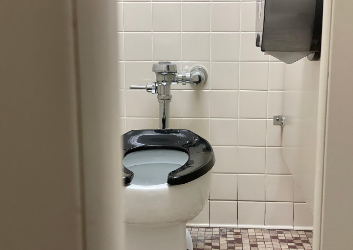 Прозрачный туалет за 1 тенге обсуждают в Астане (ВИДЕО)