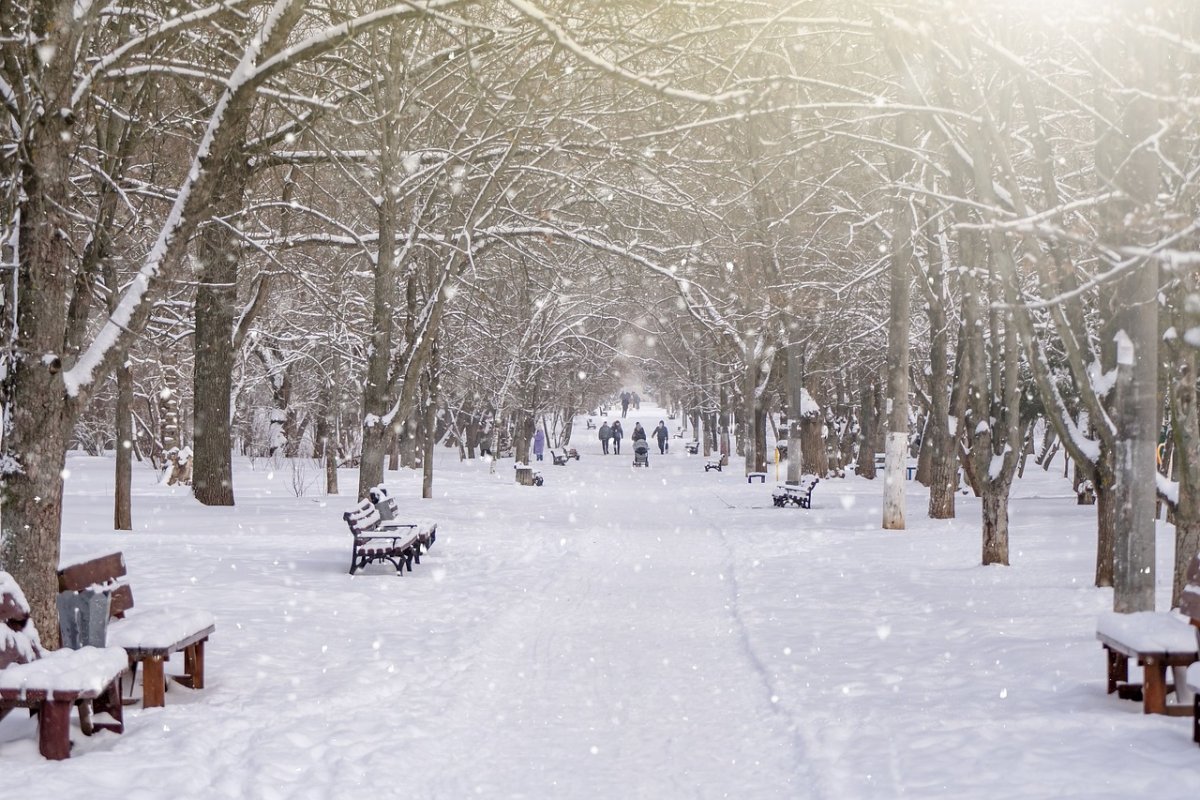 Низовая метель и гололед ожидаются в Казахстане 27 ноября
