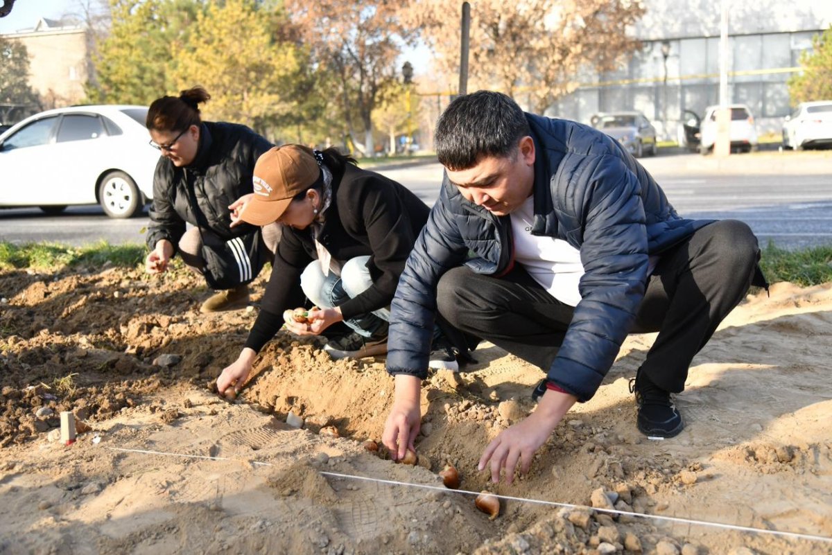 От Аягоза до Шымкента: AMANAT провел всереспубликанскую экоакцию