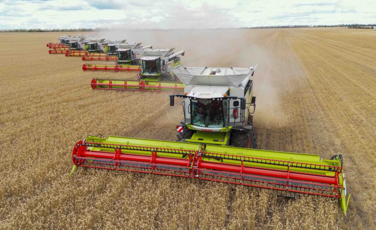 84% сельских жителей доверяют своим акимам