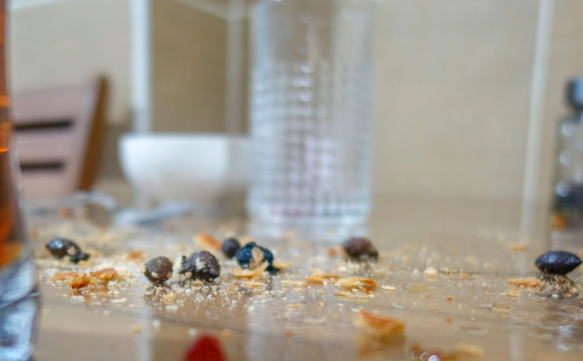 Жуки в макаронах и сырая выпечка: родители Петропавловска бьют тревогу