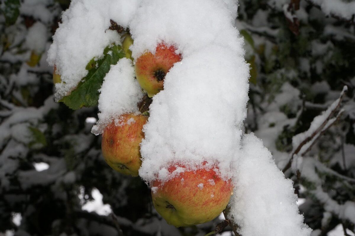 Туманная Астана и солнечный Алматы: синоптики рассказали о погоде
