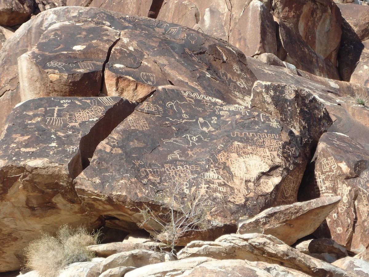 Уникальные следы динозавров обнаружены на скалах Китая