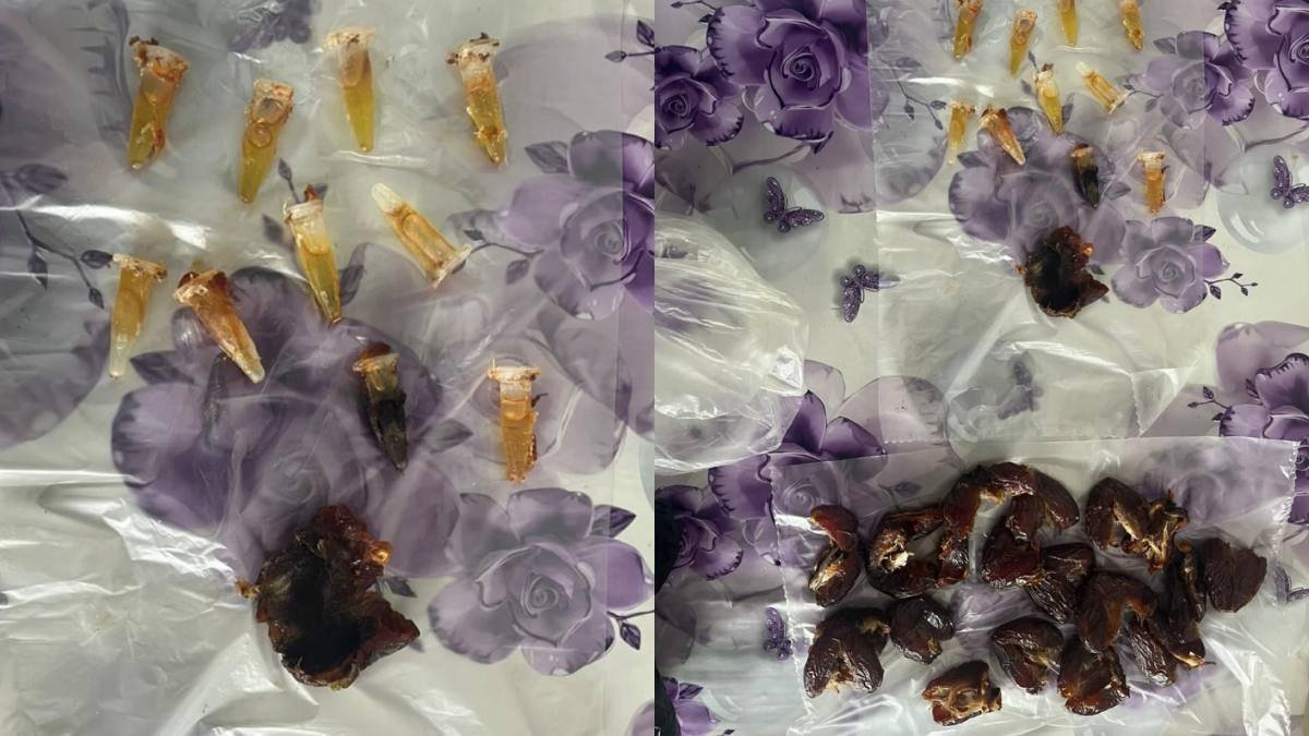 Масло гашиша в финиках пытались пронести в колонию в Павлодарской области