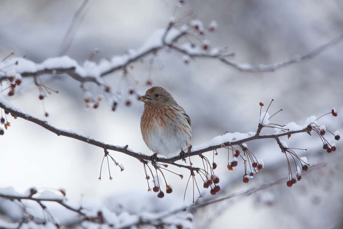 Гололед и туман: жителей Шымкента предупредили о непогоде