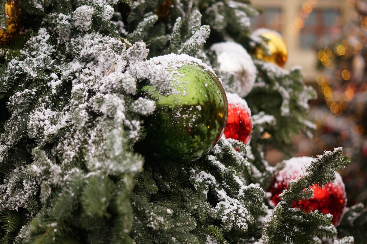 Роза Рымбаева, KeshYOU и другие выступят на зажжении главной елки Алматы