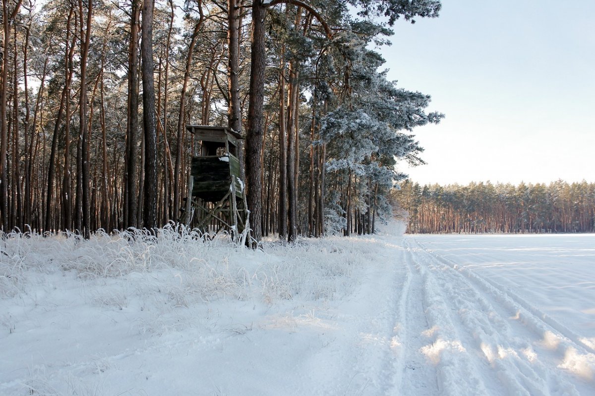 Странные обстоятельства исчезновения: 61-летнего охотника ищут в Атырауской области