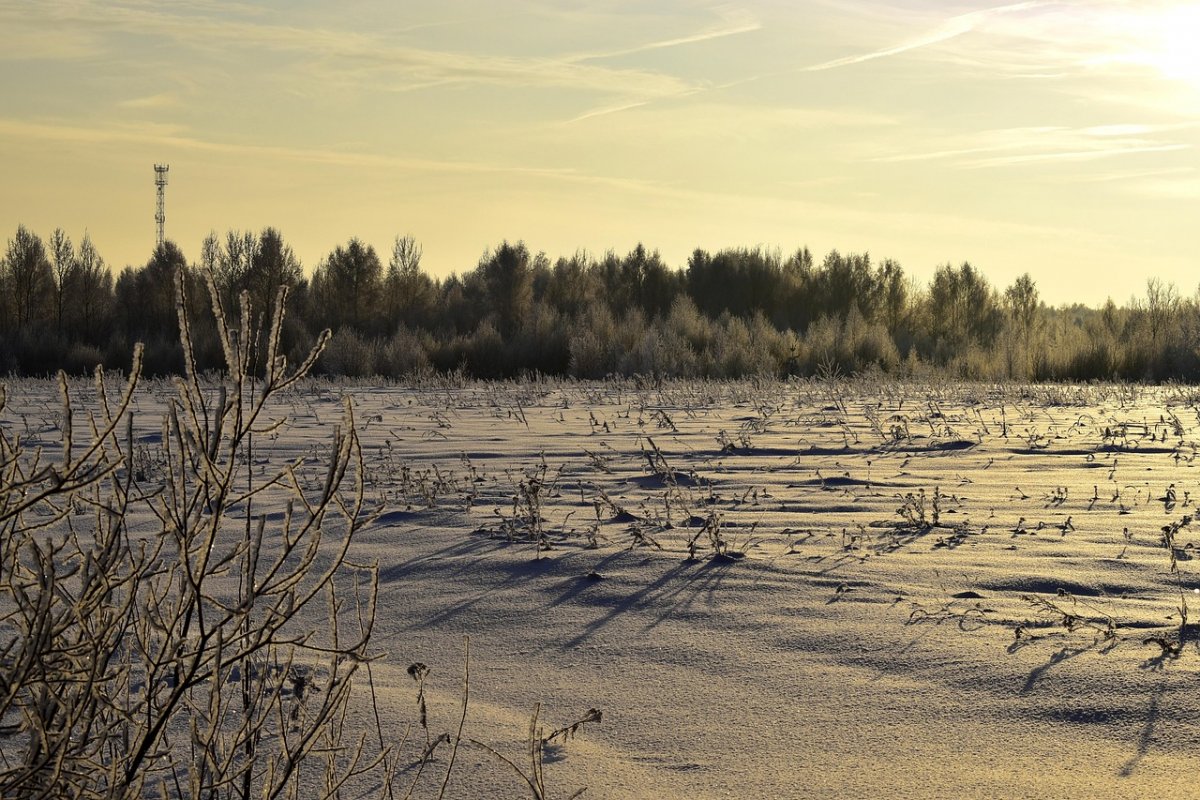 Поиски охотника завершились трагически в Атырауской области