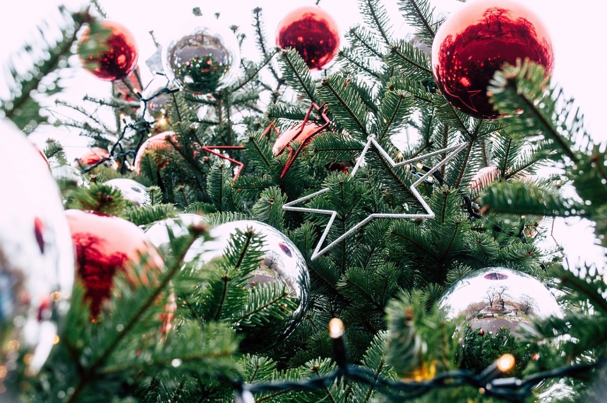 С помощью Виагры продлевают жизнь рождественским елкам в Германии