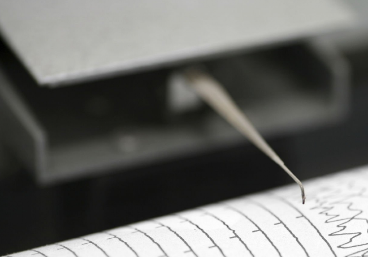 Землетрясение ощутили жители Алматы