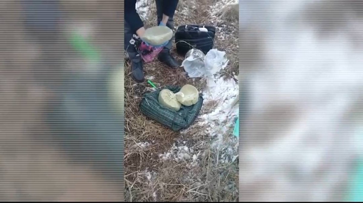 16 кг гашиша изъяли полицейские в Алматы (ВИДЕО)