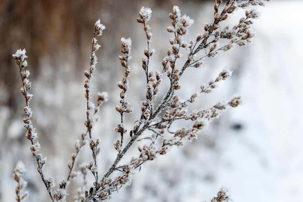 Как изменится погода в Шымкенте