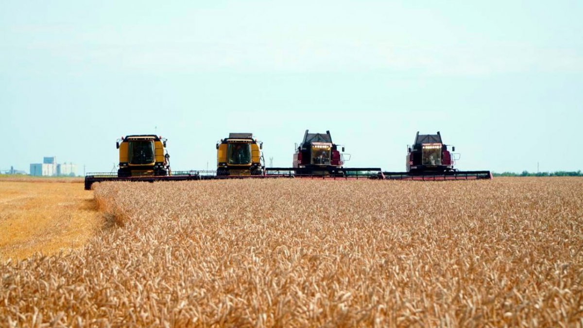 Казахстан укрепляет продовольственную безопасность и наращивает экспорт