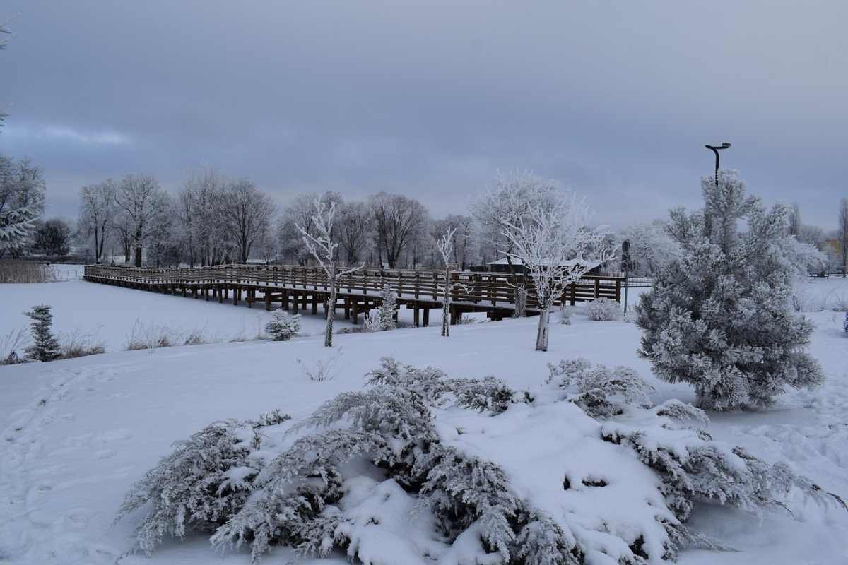 Снег с метелью ожидаются в Астане и Алматы