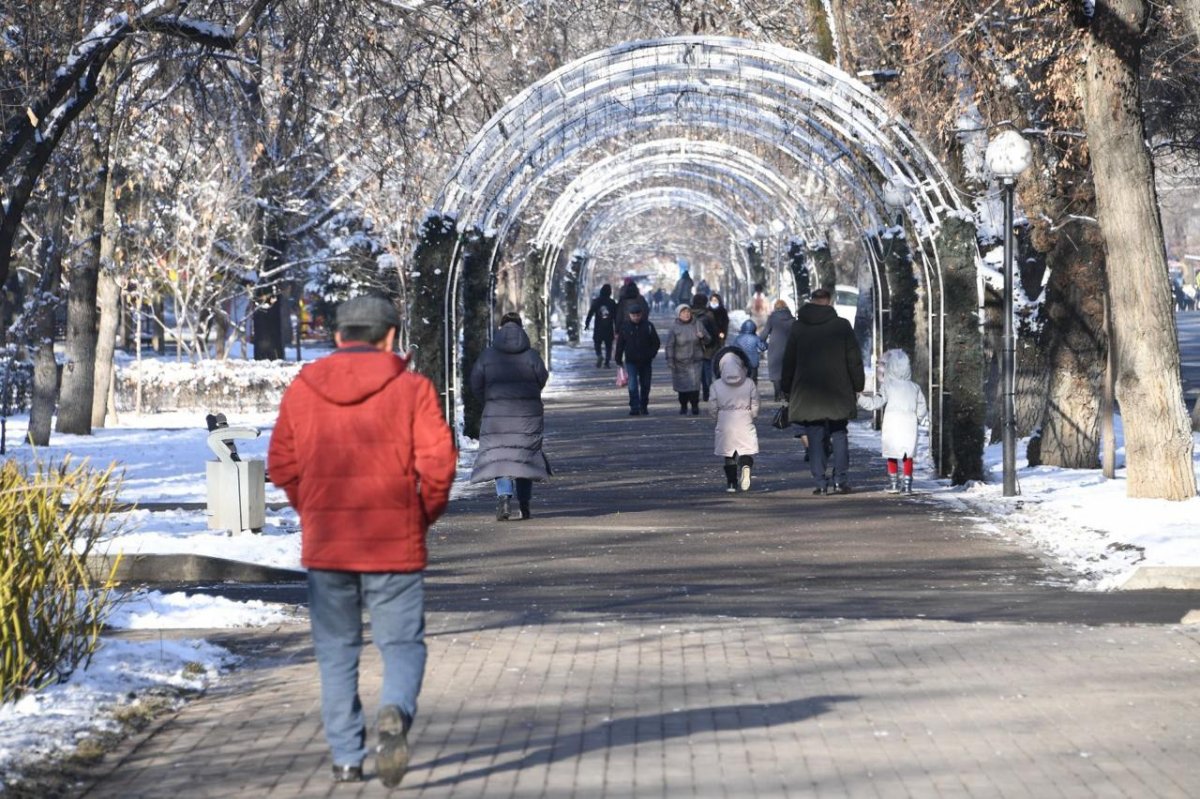 Погода 8 января: Алматы и Шымкент накроет туманом, в Астане - морозы