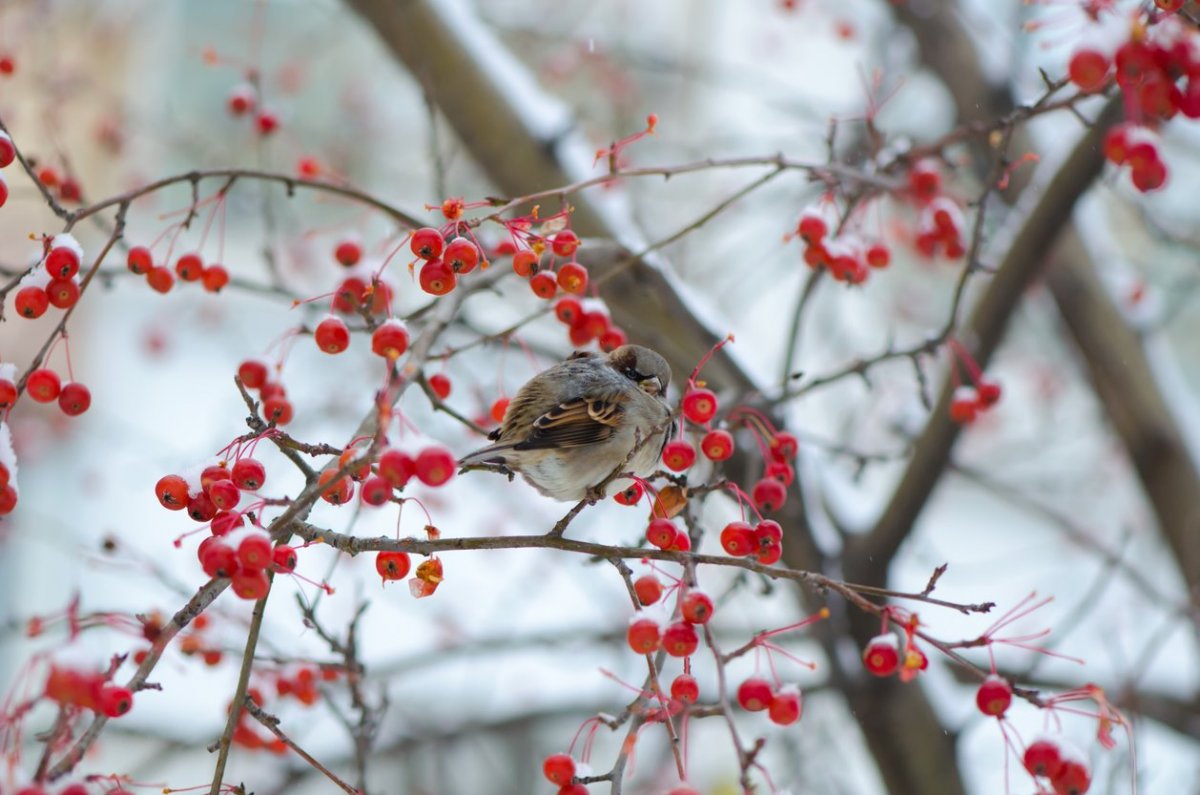 Какой сюрприз преподнесет погода жителям Шымкента