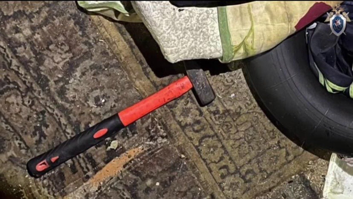 Россиянка забила знакомого молотком и прятала тело в курятнике