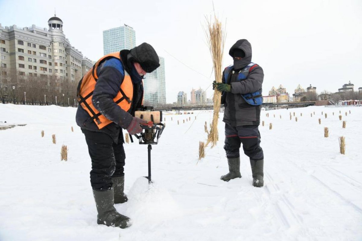 Почему рыба в Есиле рискует погибнуть зимой и как ее спасают в Астане