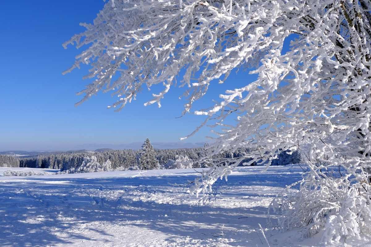 Мороз и метель: в Астане ожидается резкое похолодание