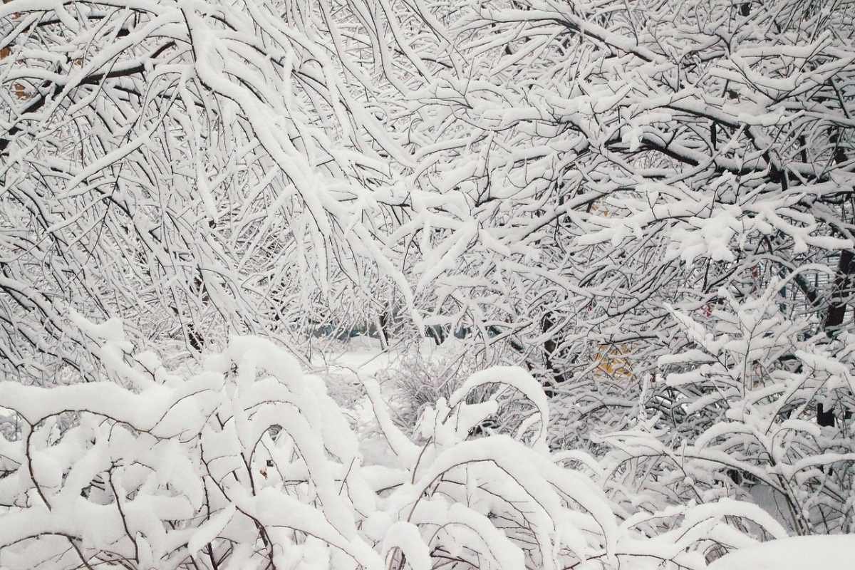 Алматы засыплет снегом