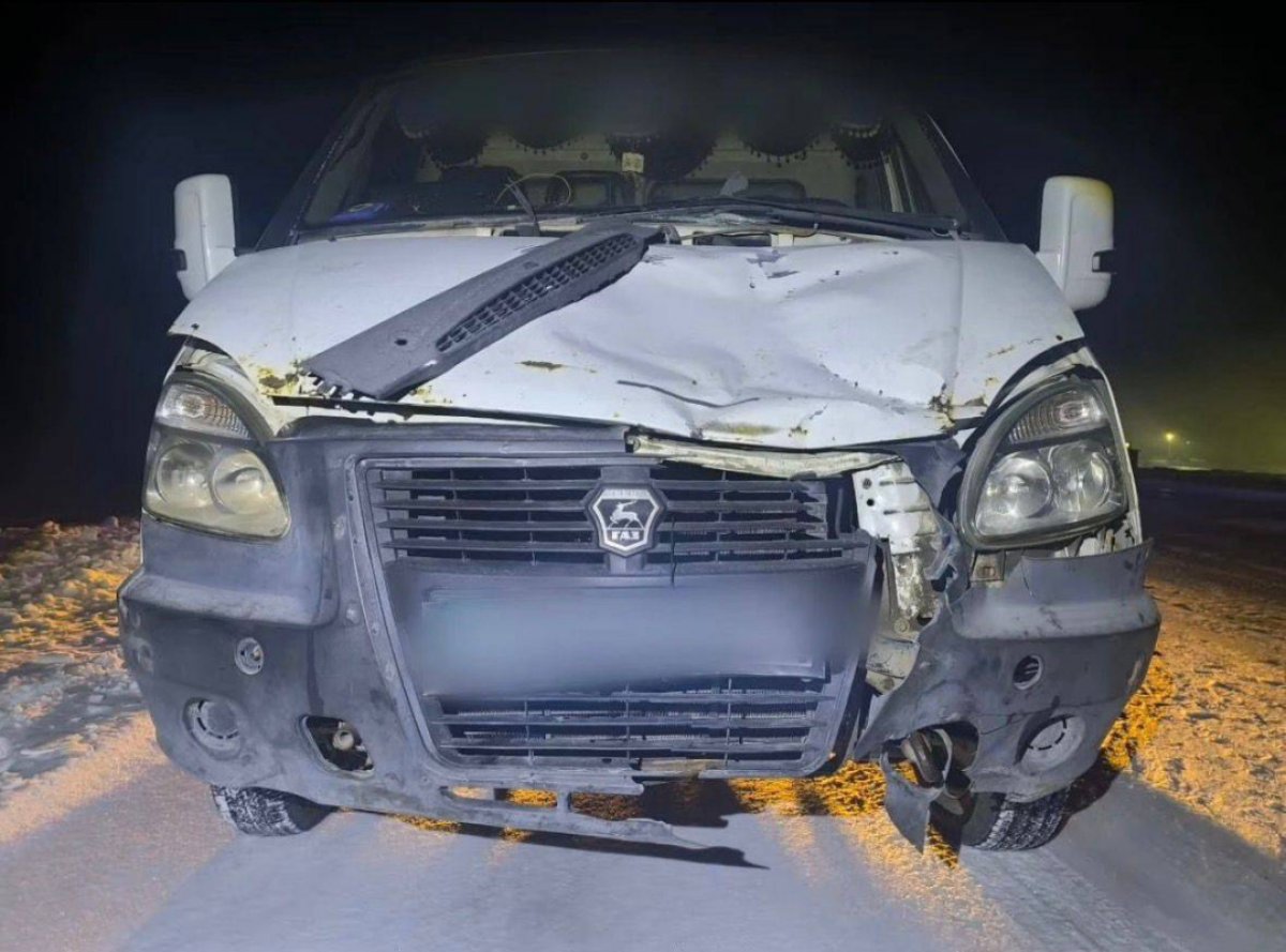 "Газель" насмерть сбила пешехода на трассе в Павлодарской области