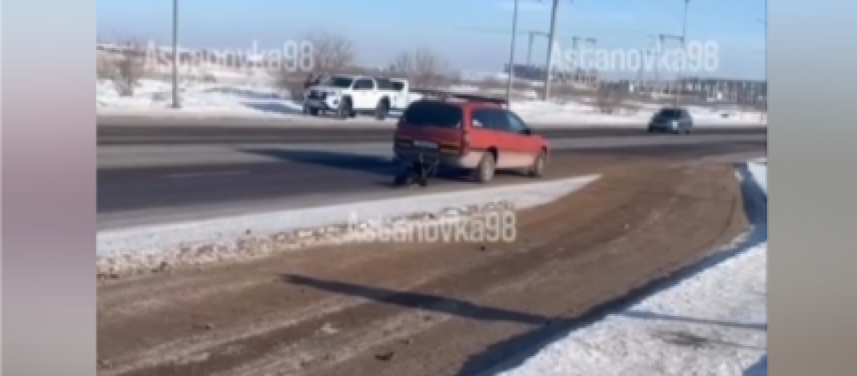 Астанчанин собаку привязал к авто и протащил ее по асфальту