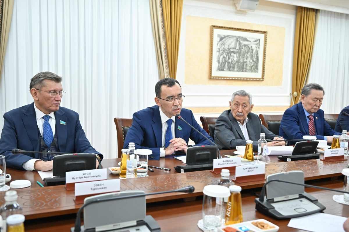 Заседание диалоговой площадки “Ұлттық мүдде” прошло в Сенате