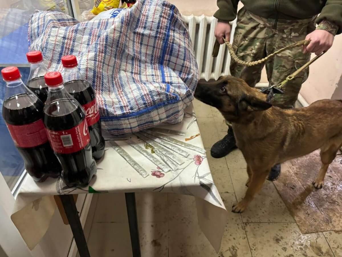 Наркотики нашли в ремне сумки при досмотре передачи в колонии Кызылорды