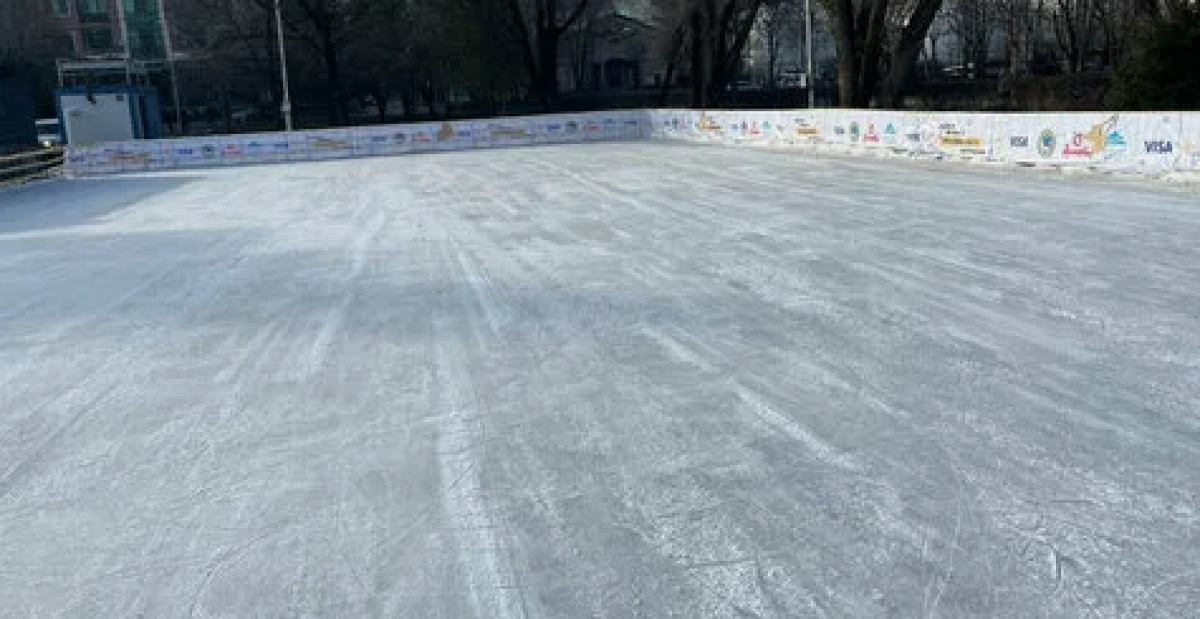 На городском катке обнаружили вмерзшую рыбу в Сарани (ВИДЕО)