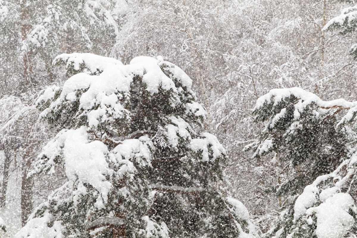 Снег и метель закрутят Астану