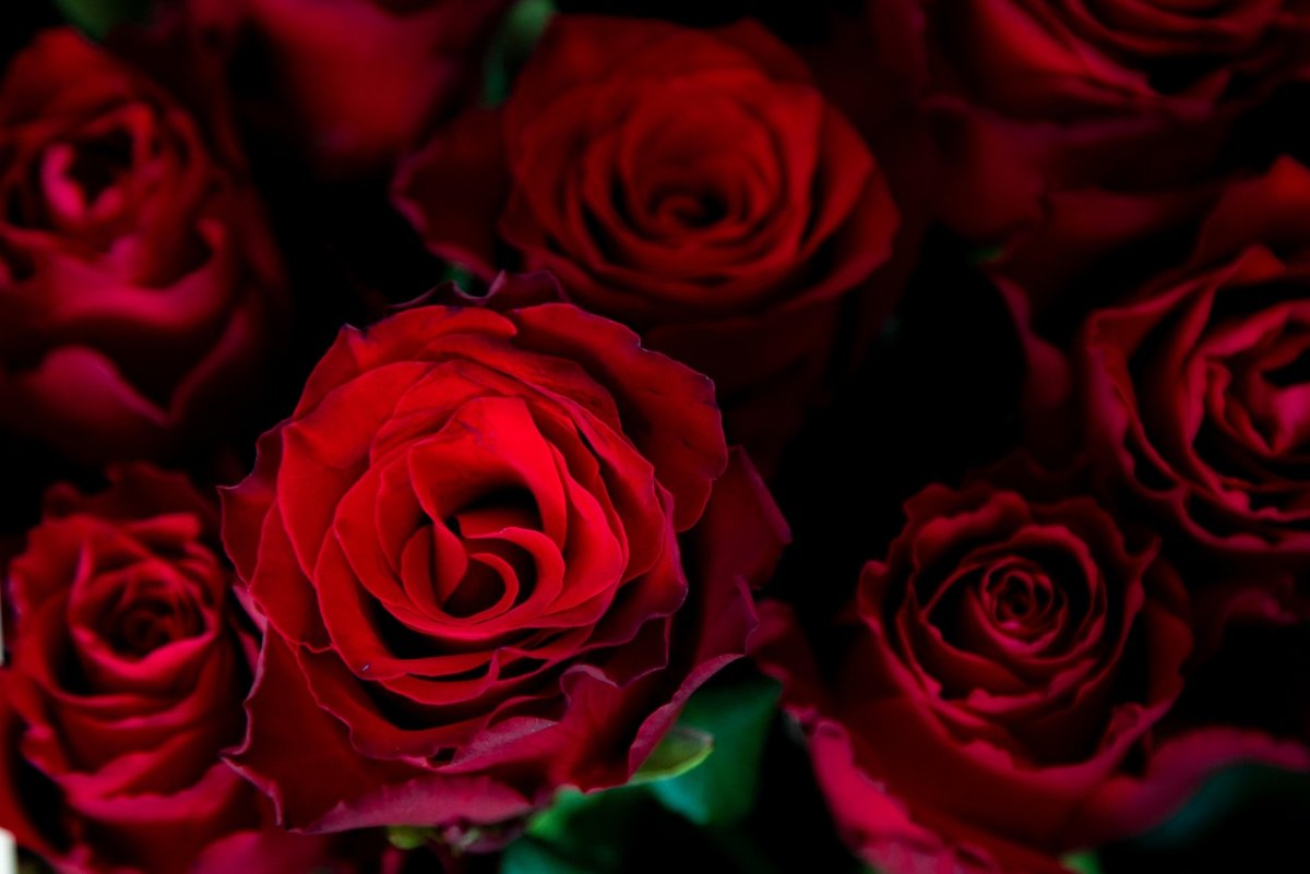 Пожарный сделал романтичное предложение своей возлюбленной в Костанае (ВИДЕО)