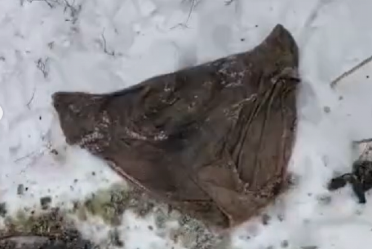 Коммунальщики Караганды достают из канализации нижнее белье и футболки (ВИДЕО)