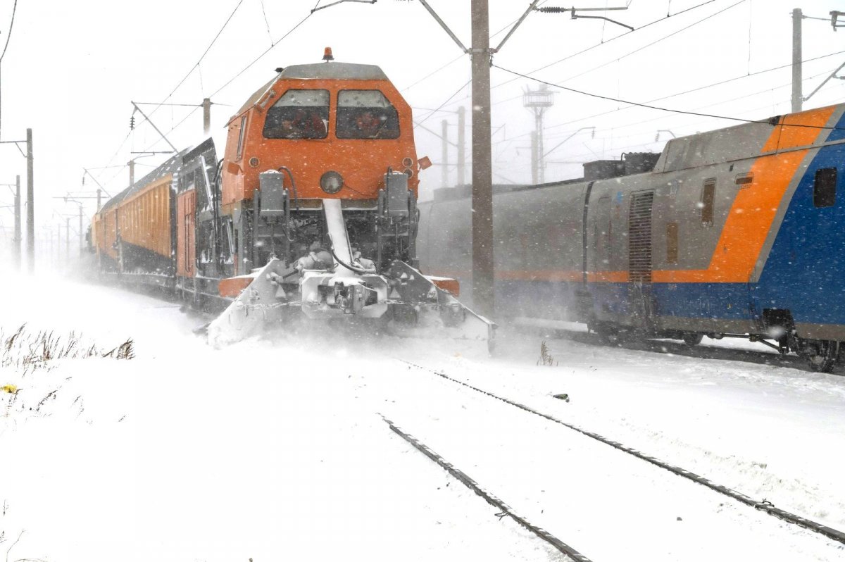 Если стало плохо соседу: инструкция для пассажиров на случай ЧП в поезде