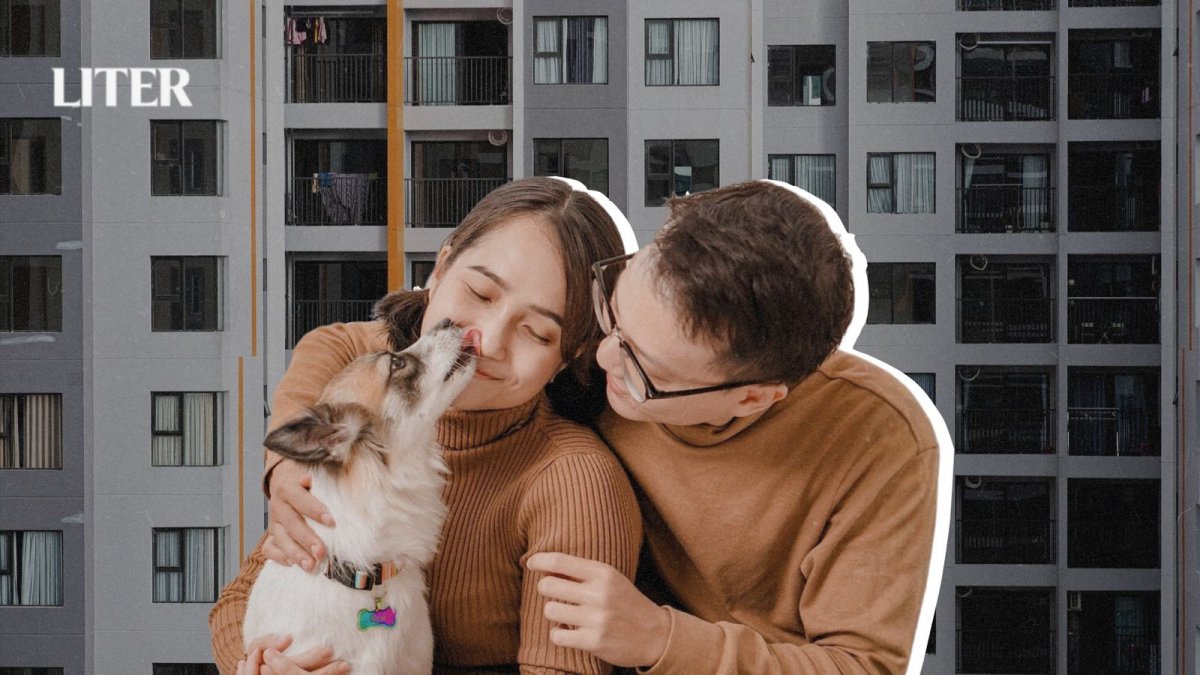 Домашние животные в многоэтажках: что важно знать хозяевам