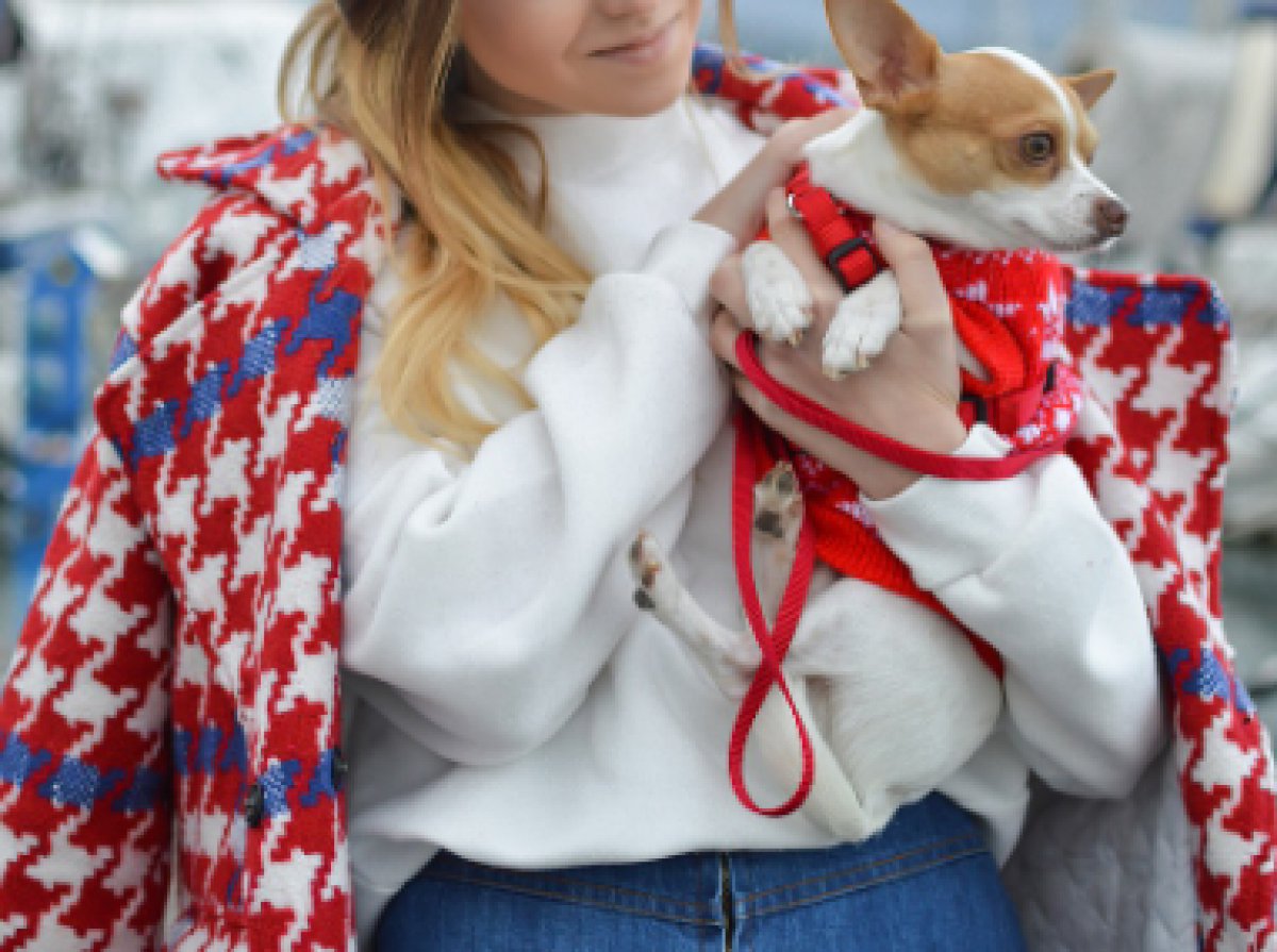 Женщина избила школьницу за лай собаки в Павлодаре