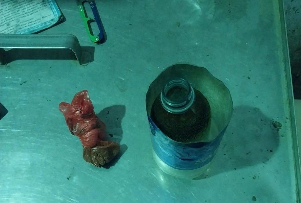 Гвардейцы с собакой предотвратили попытку доставки запрещенки в учреждение УИС в Атырау