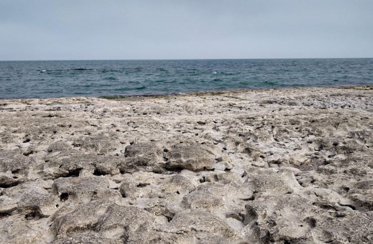 1,1 млрд тенге направили на изучение и сохранение Каспия