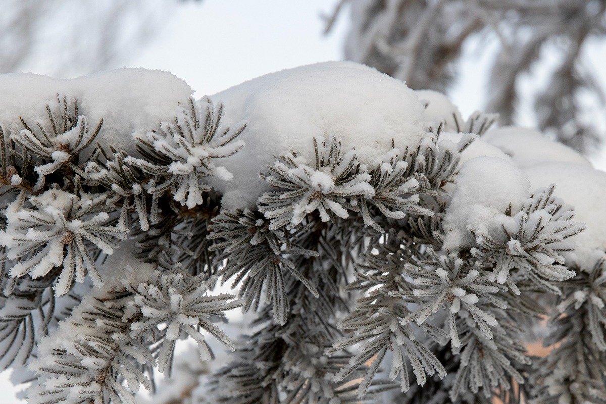 Морозы до -33 градусов прогнозируют в Астане